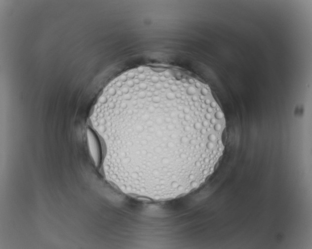 X0000112500285200909071252