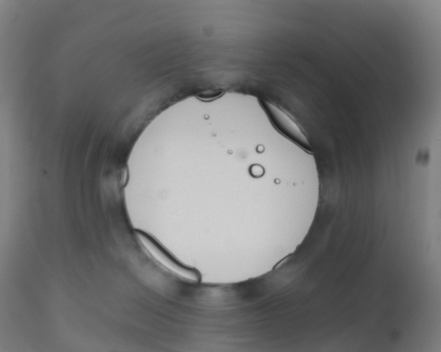 X0000112500286200909071252