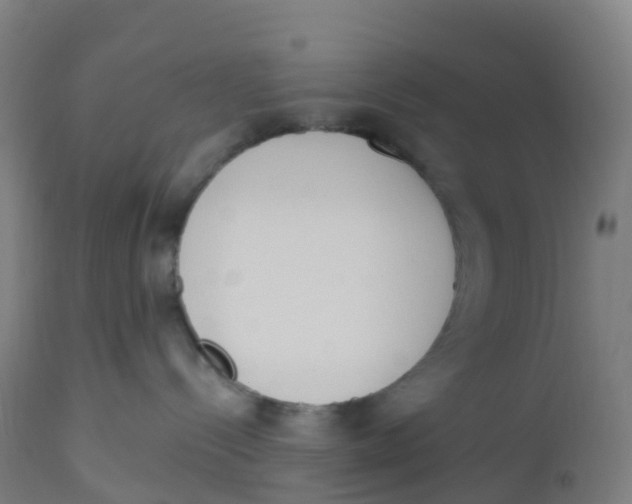 X0000112500288200909071252