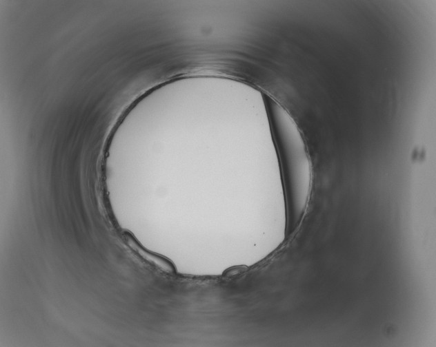 X0000112500289200909071251