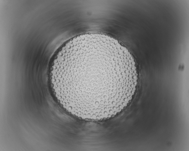 X0000112500290200909071251