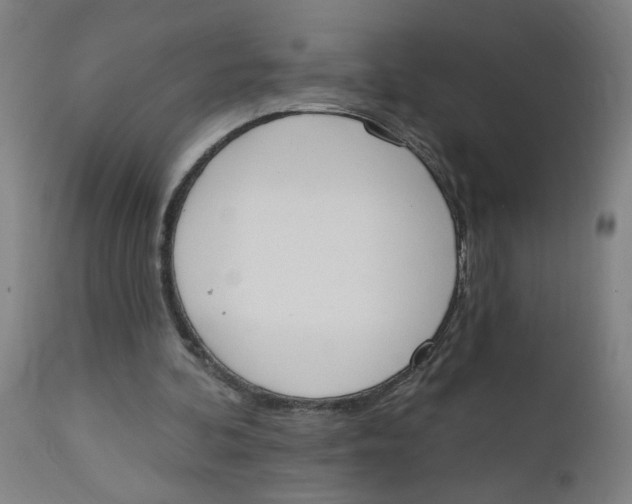 X0000112500292200909071251