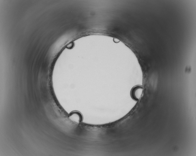 X0000112500293200909071251