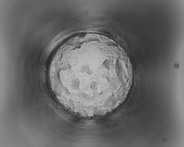 X0000112500295200909071251