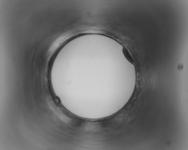 X0000112500296200909071251