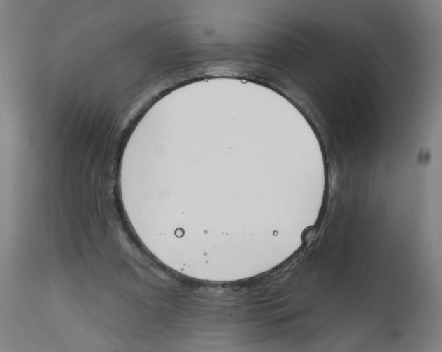 X0000112500297200909071251