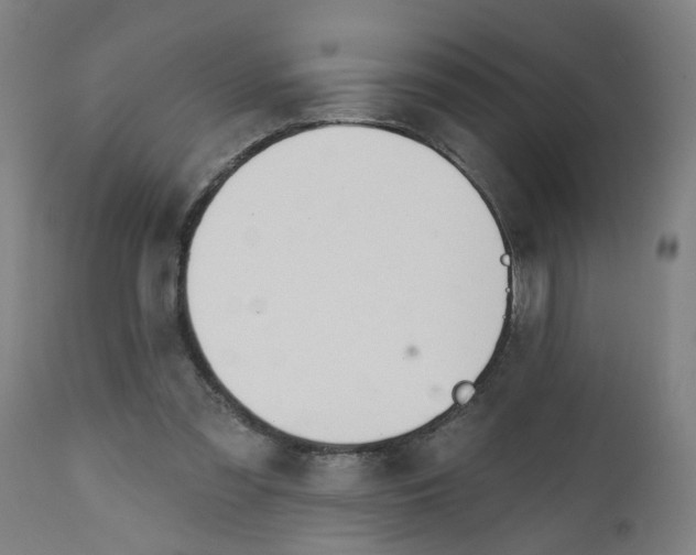 X0000112500301200909071251