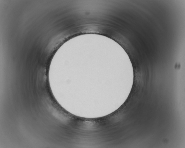 X0000112500302200909071251