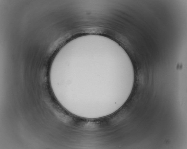 X0000112500303200909071251