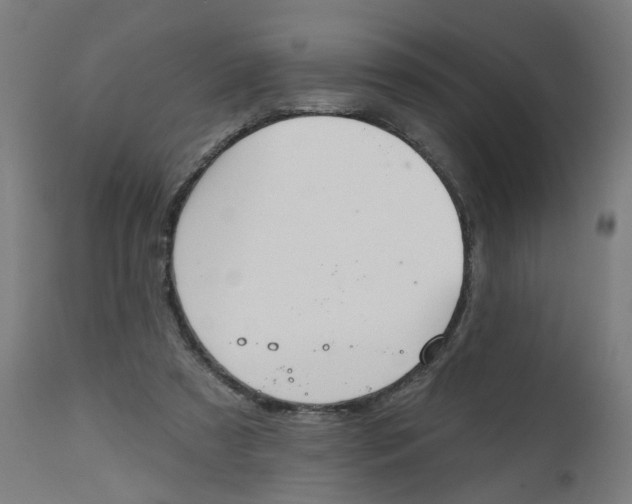 X0000112500305200909071251