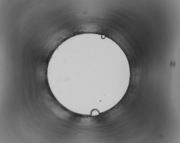 X0000112500309200909071251