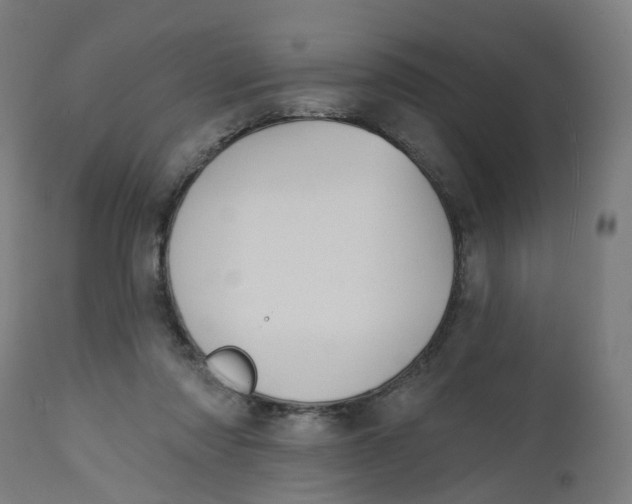 X0000112500310200909071251