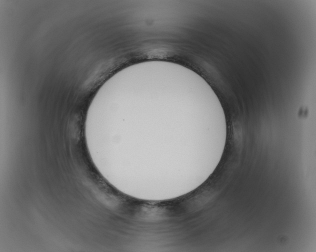 X0000112500311200909071251