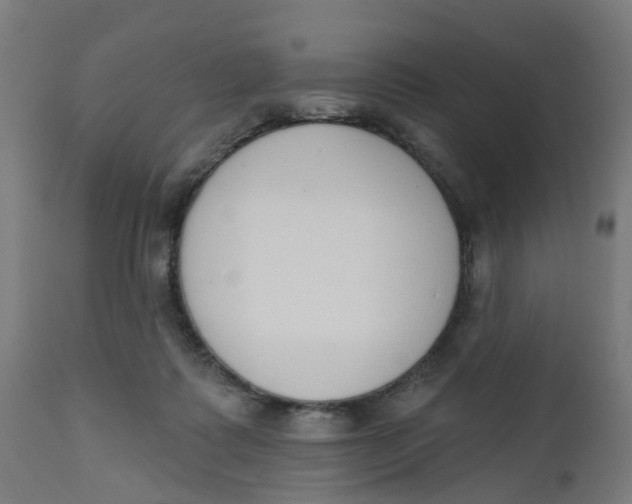 X0000112500315200909071251