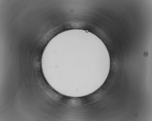 X0000112500317200909071251