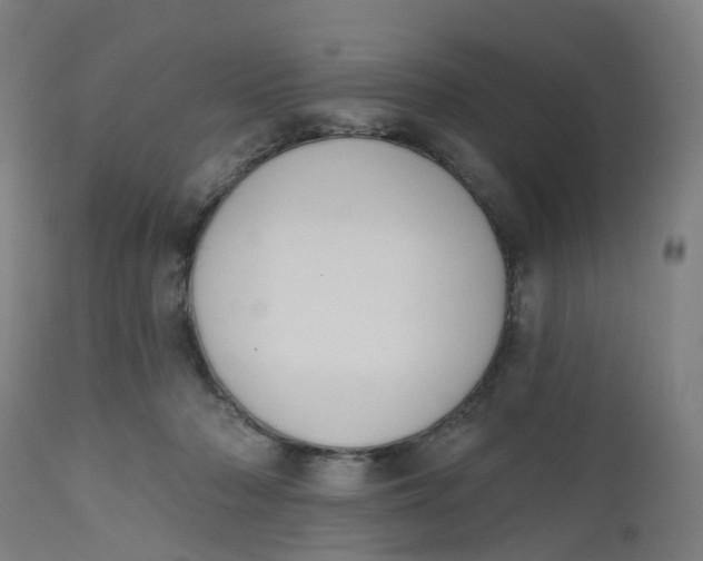 X0000112500318200909071251