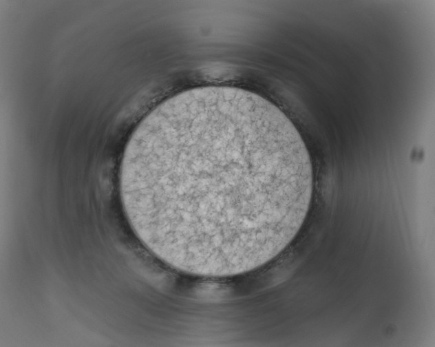 X0000112500319200909071251