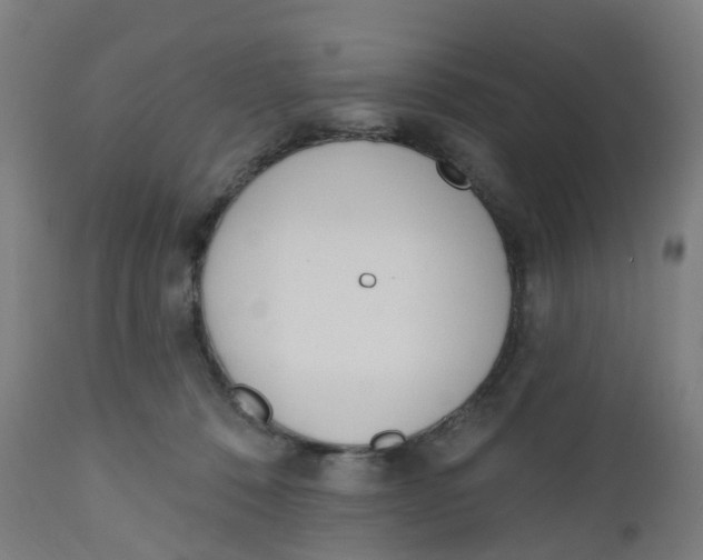 X0000112500320200909071251