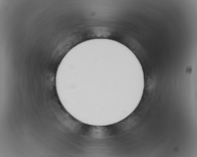 X0000112500321200909071251