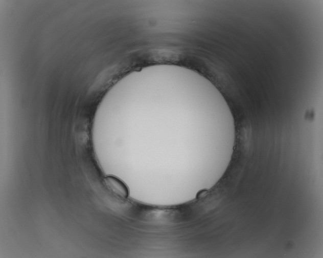 X0000112500323200909071251