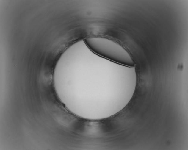 X0000112500324200909071251