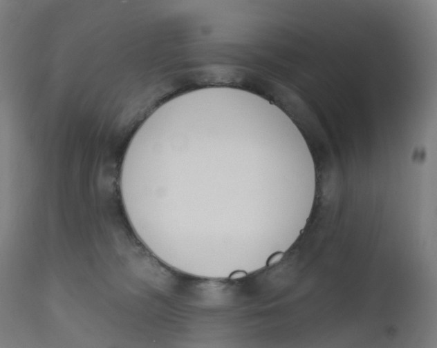 X0000112500326200909071251