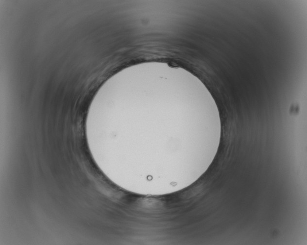 X0000112500327200909071251