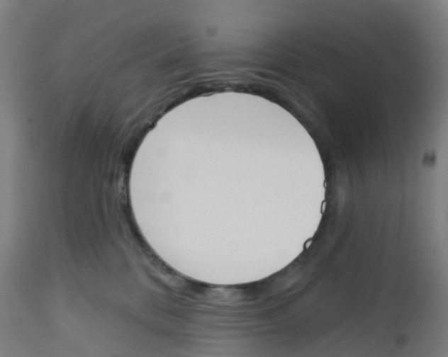 X0000112500328200909071251