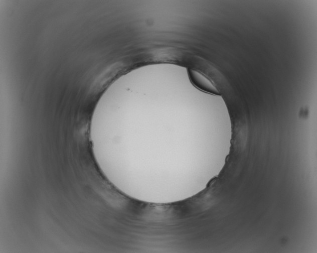 X0000112500329200909071251