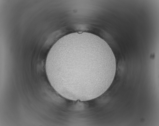 X0000112500330200909071251