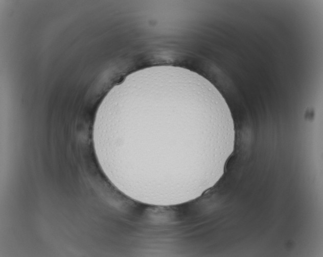 X0000112500331200909071251