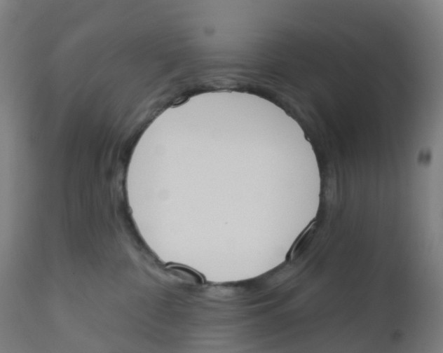 X0000112500332200909071251