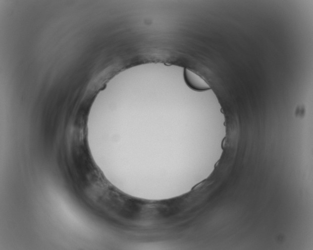 X0000112500334200909071251