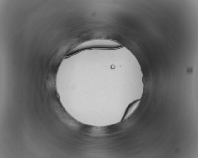 X0000112500335200909071251