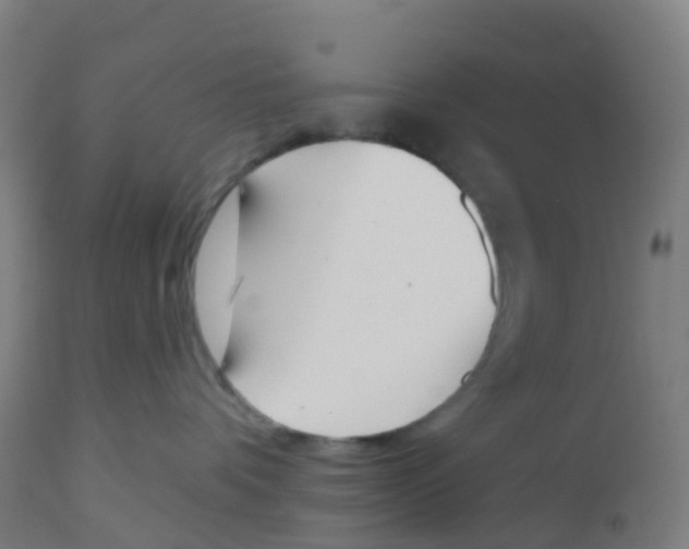 X0000112500336200909071251