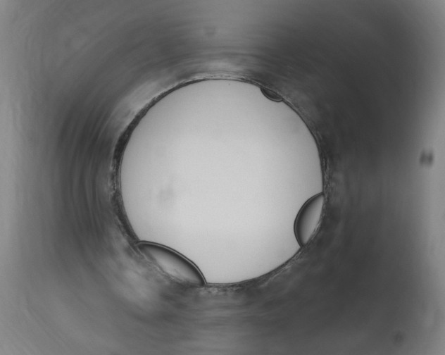 X0000112500338200909071250