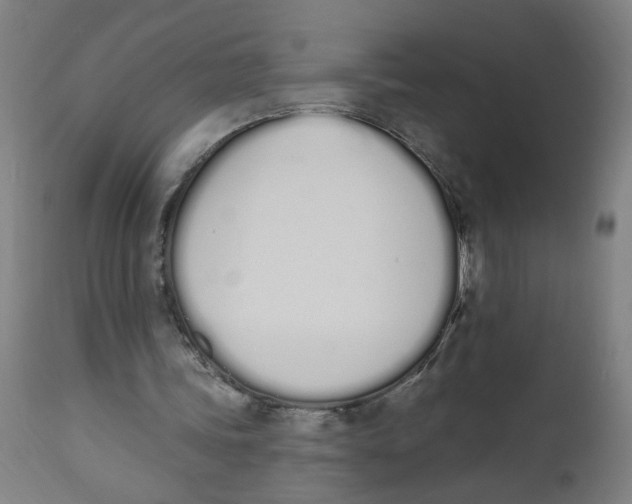 X0000112500339200909071250