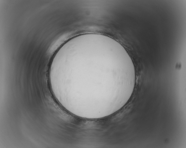 X0000112500341200909071250