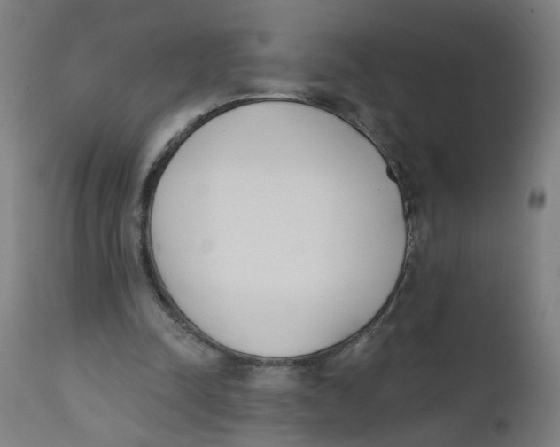 X0000112500342200909071250