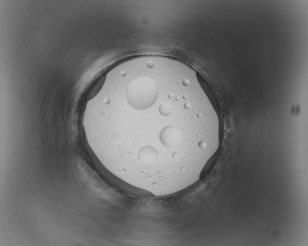 X0000112500343200909071250