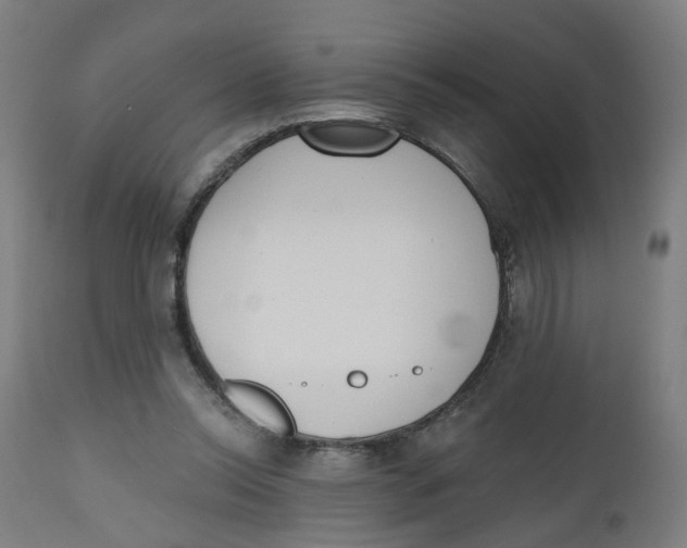 X0000112500350200909071250