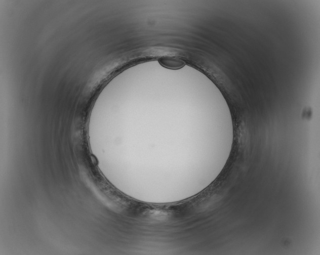 X0000112500352200909071250