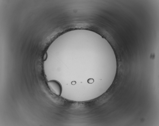 X0000112500354200909071250