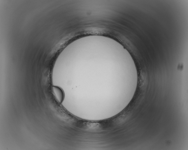 X0000112500355200909071250