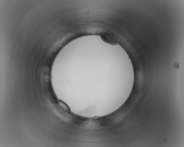 X0000112500356200909071250