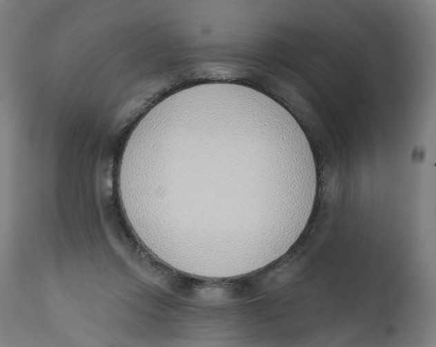 X0000112500358200909071250