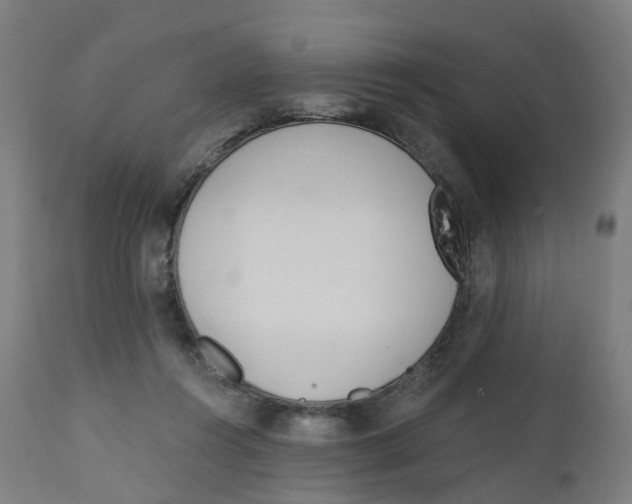 X0000112500360200909071250