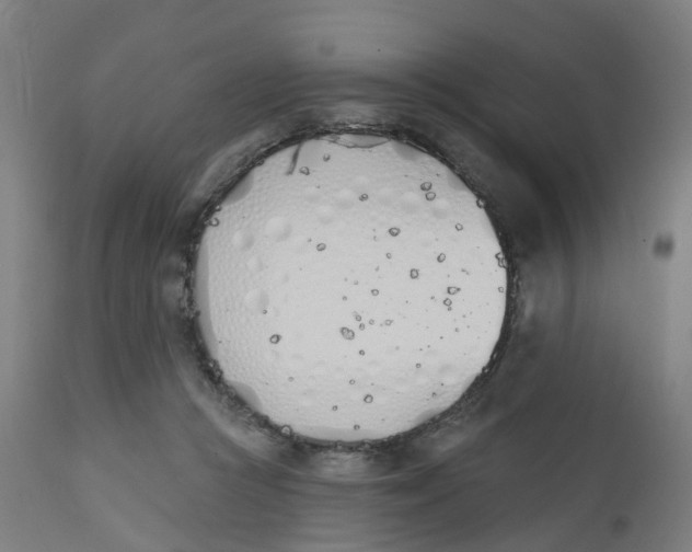 X0000112500361200909071250