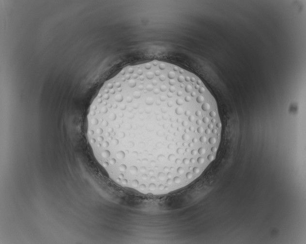 X0000112500363200909071250