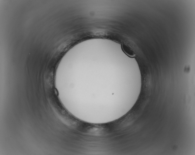 X0000112500364200909071250